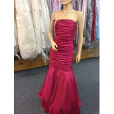 Prom/Evening Dress