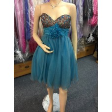 Prom/Evening Dress