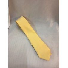 Boy's Gold Tie